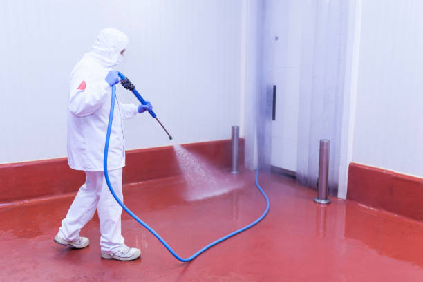 Best Driveway Cleaning and Restoration in USA
